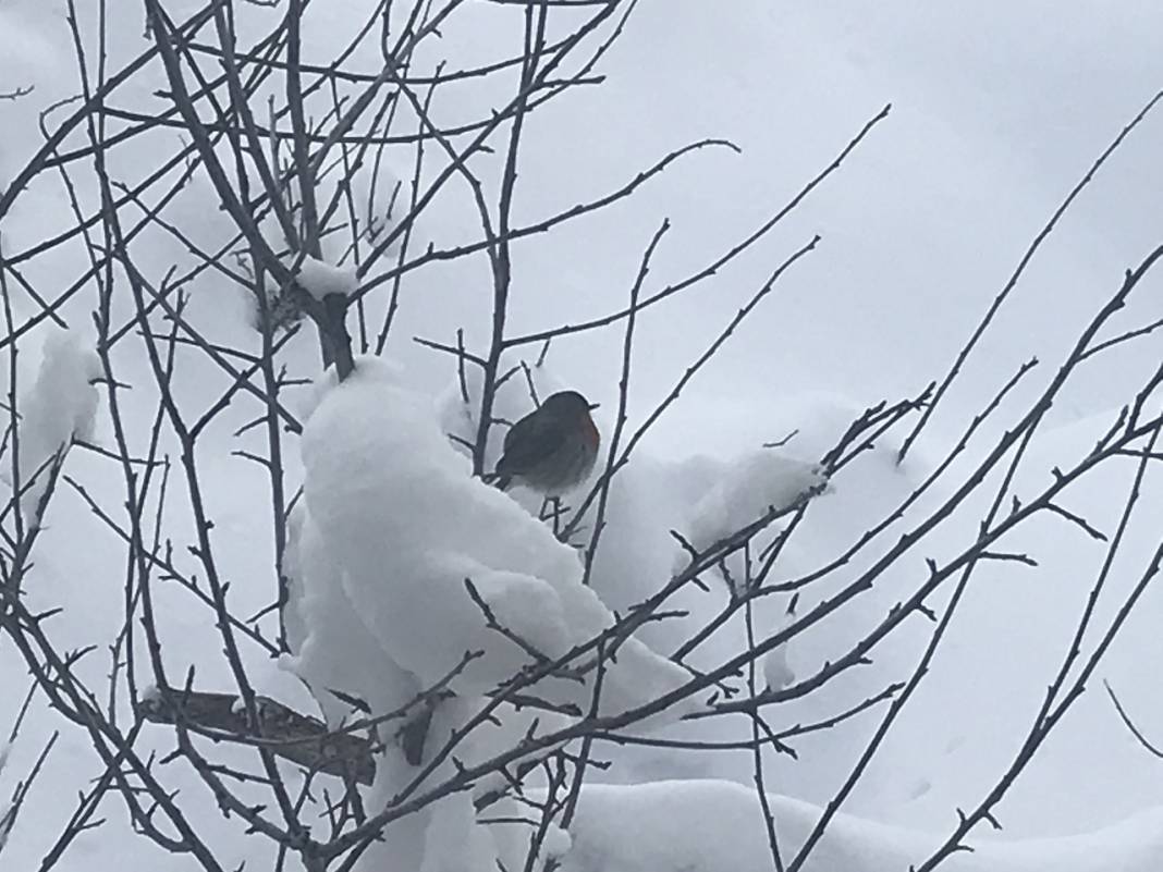 Burası Ocakta Uludağ değil, Nisanda Konya 18